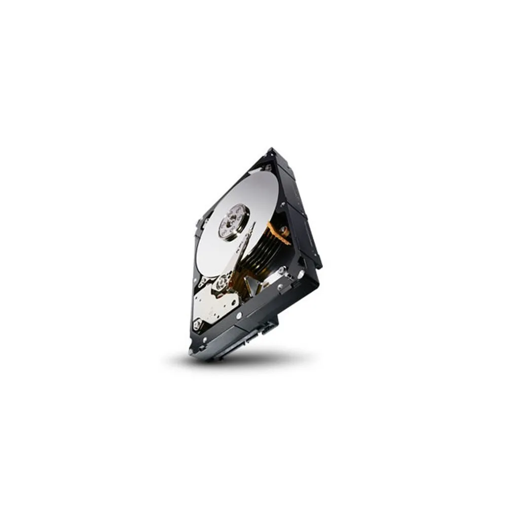 Seagate Disque dur 3 To ST33000650NS
