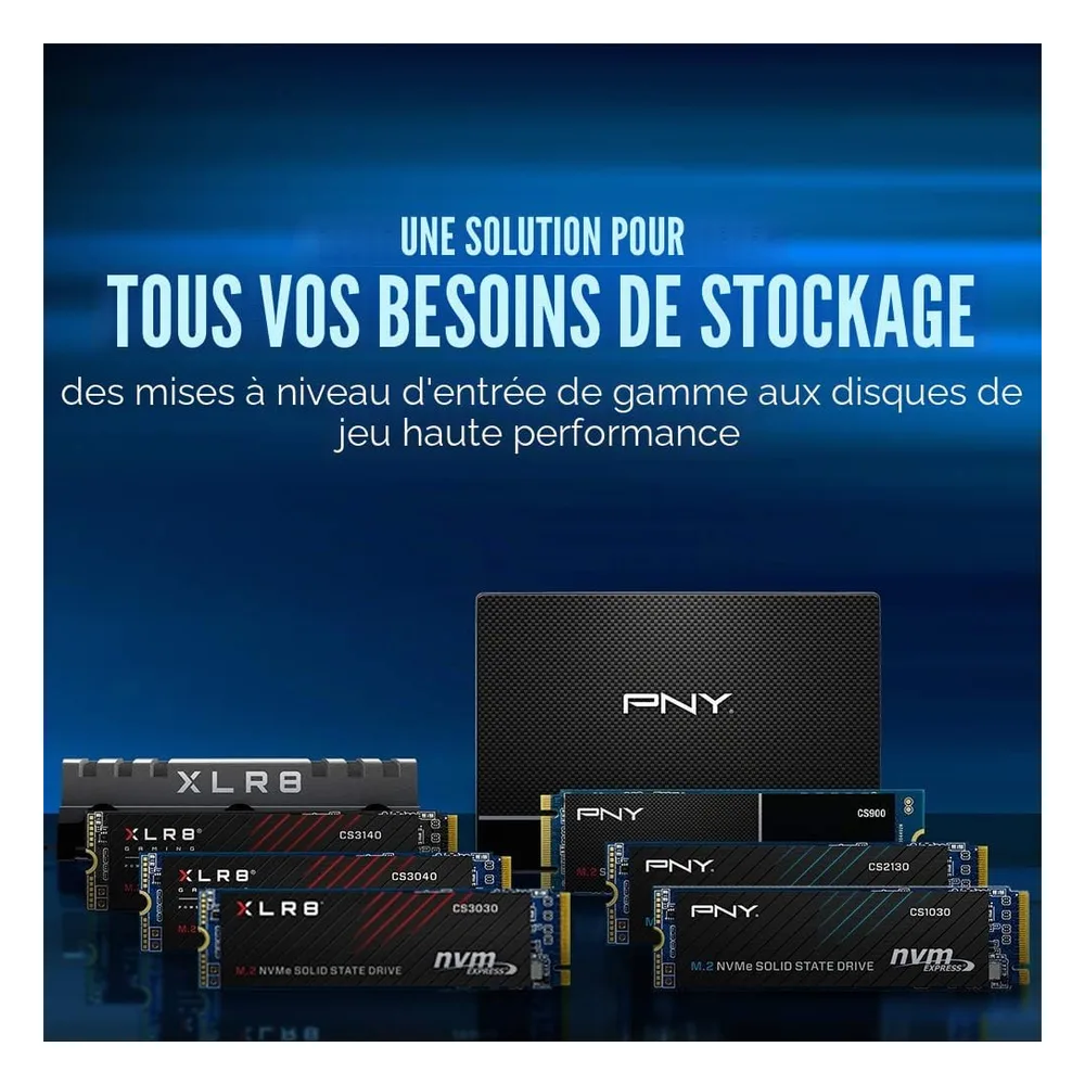 PNY SSD NVMe 250 Go CS1030