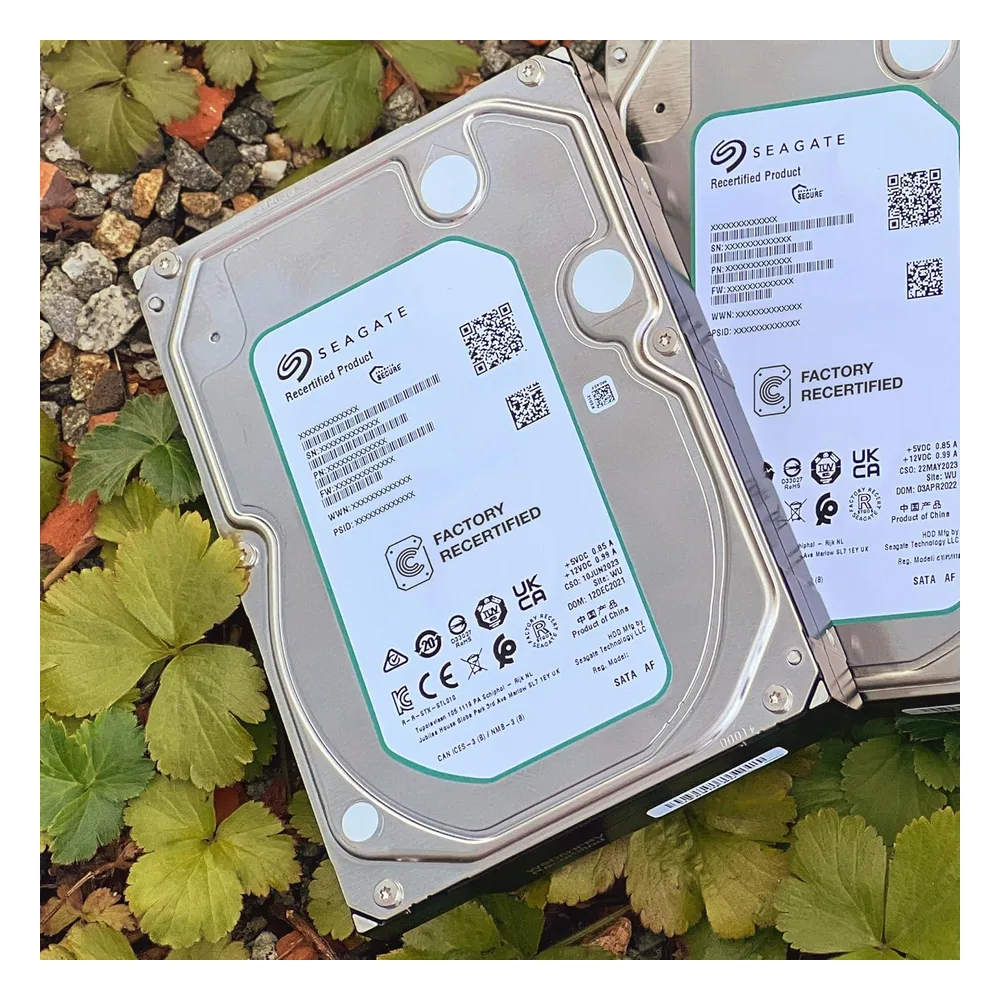 Seagate Disque dur 4 To ST4000NE001