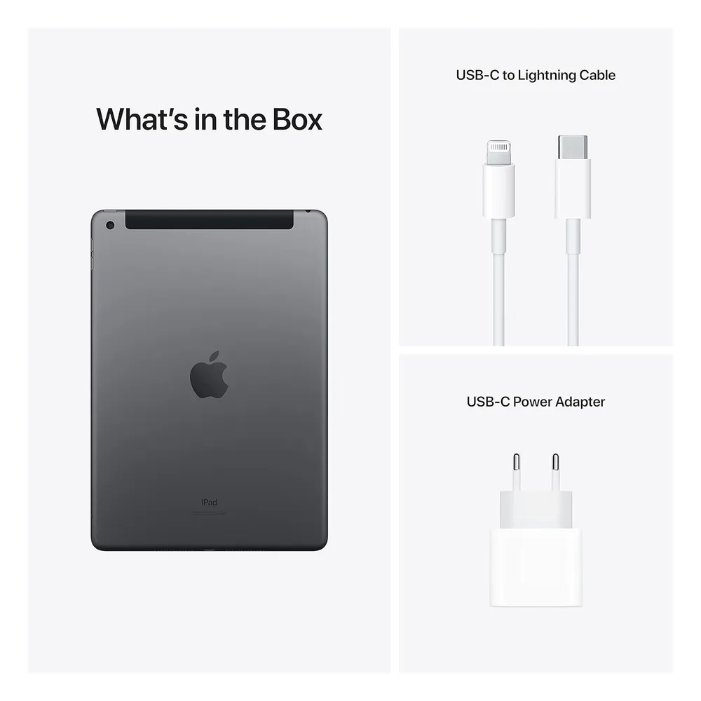 Apple iPad 256 Go