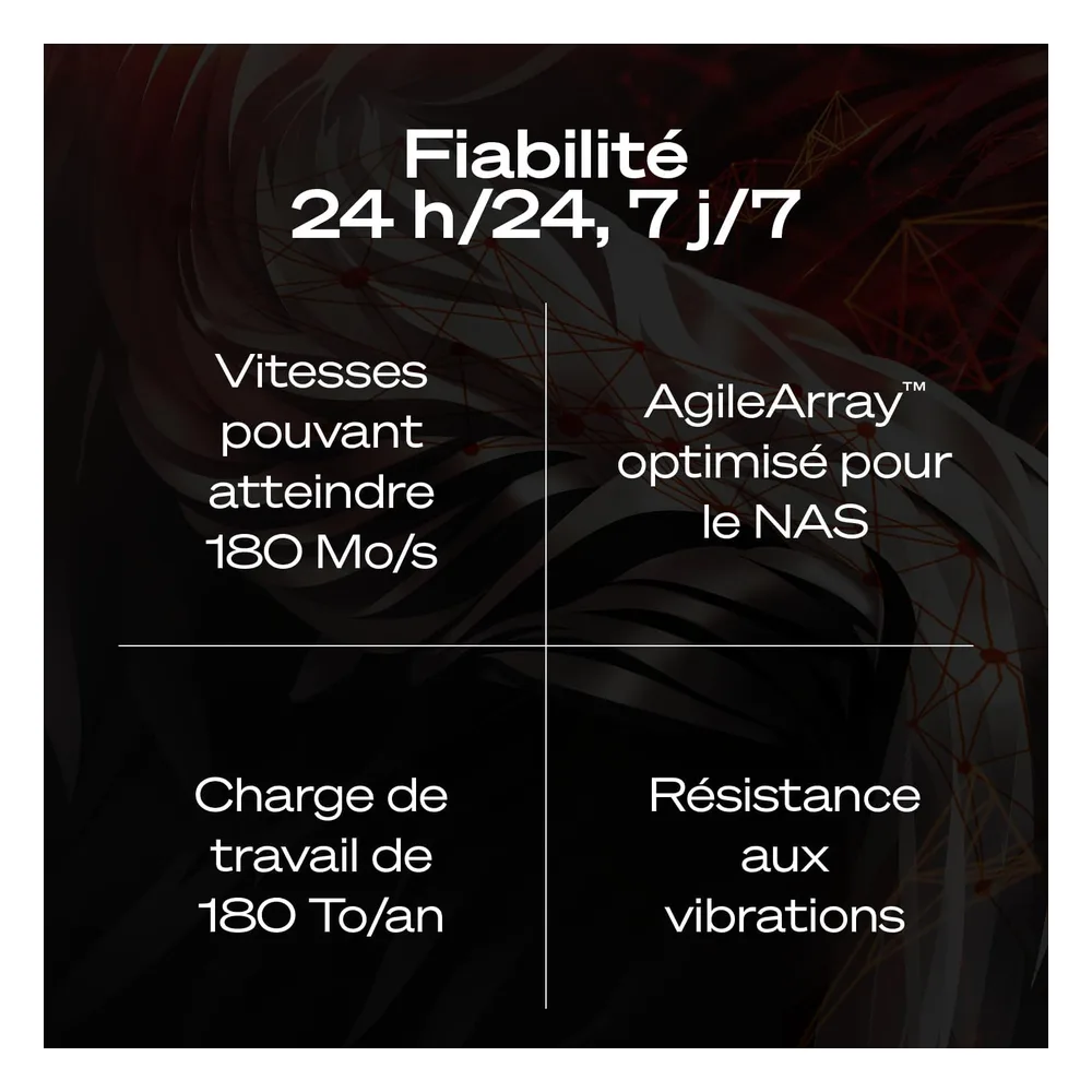 Seagate Disque dur 4 To ST4000VNZ06