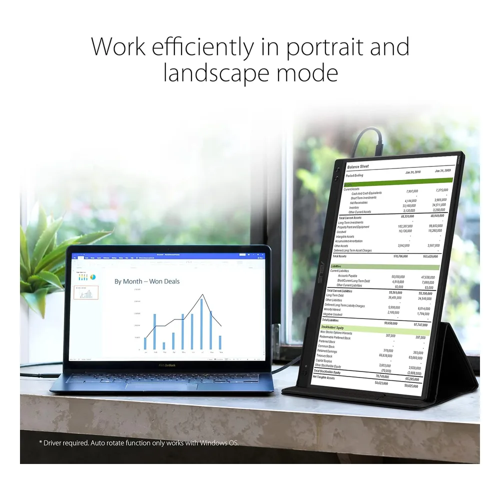 ASUS Écran PC 15.6" MB166C