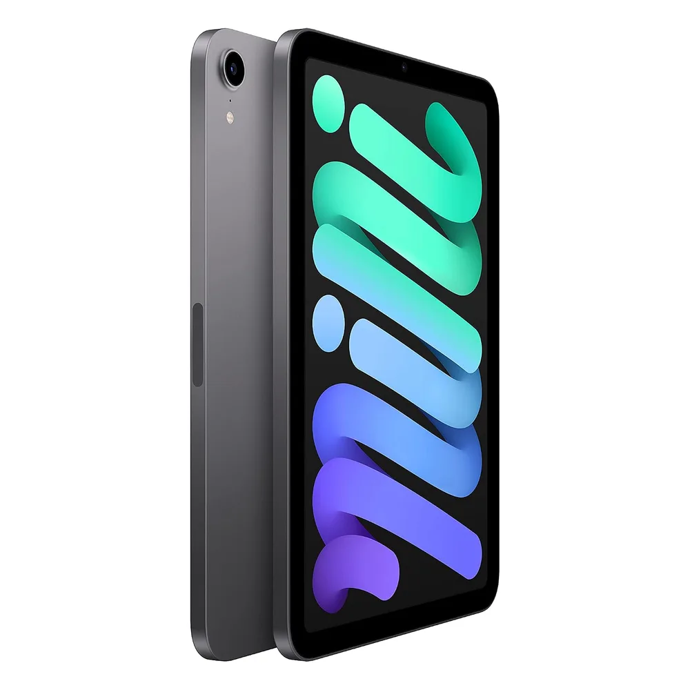 Apple iPad Mini 256 Go