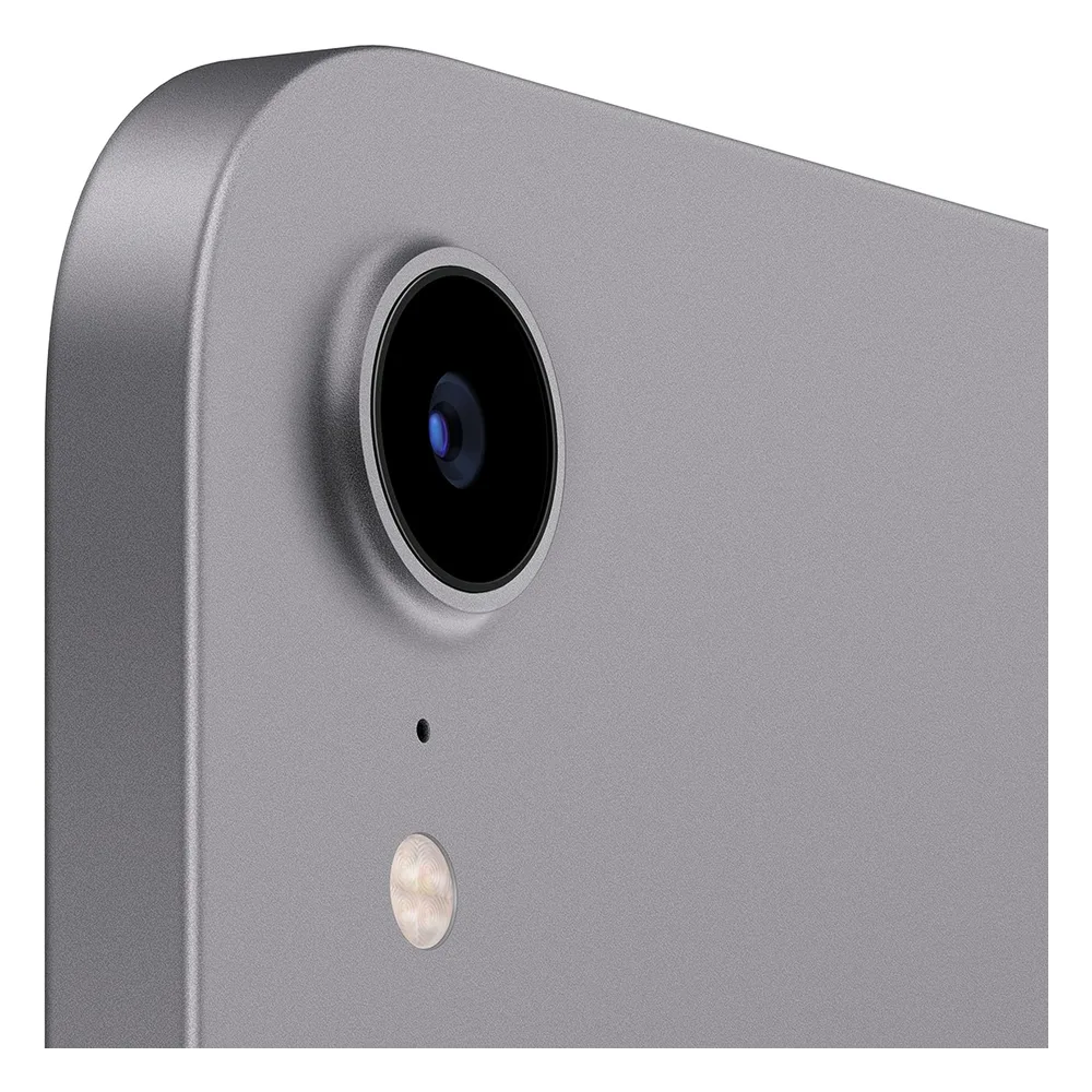 Apple iPad Mini 256 Go