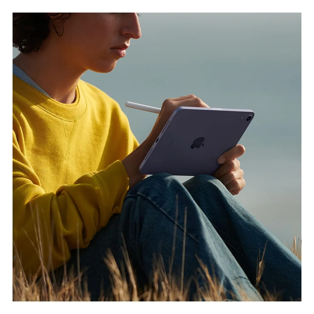 Apple iPad Mini 256 Go