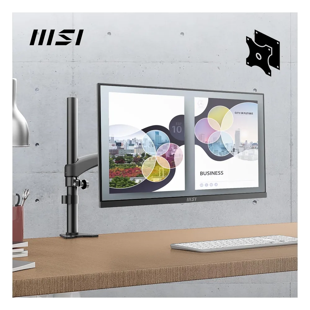 MSI Écran PC 24.5" MP252