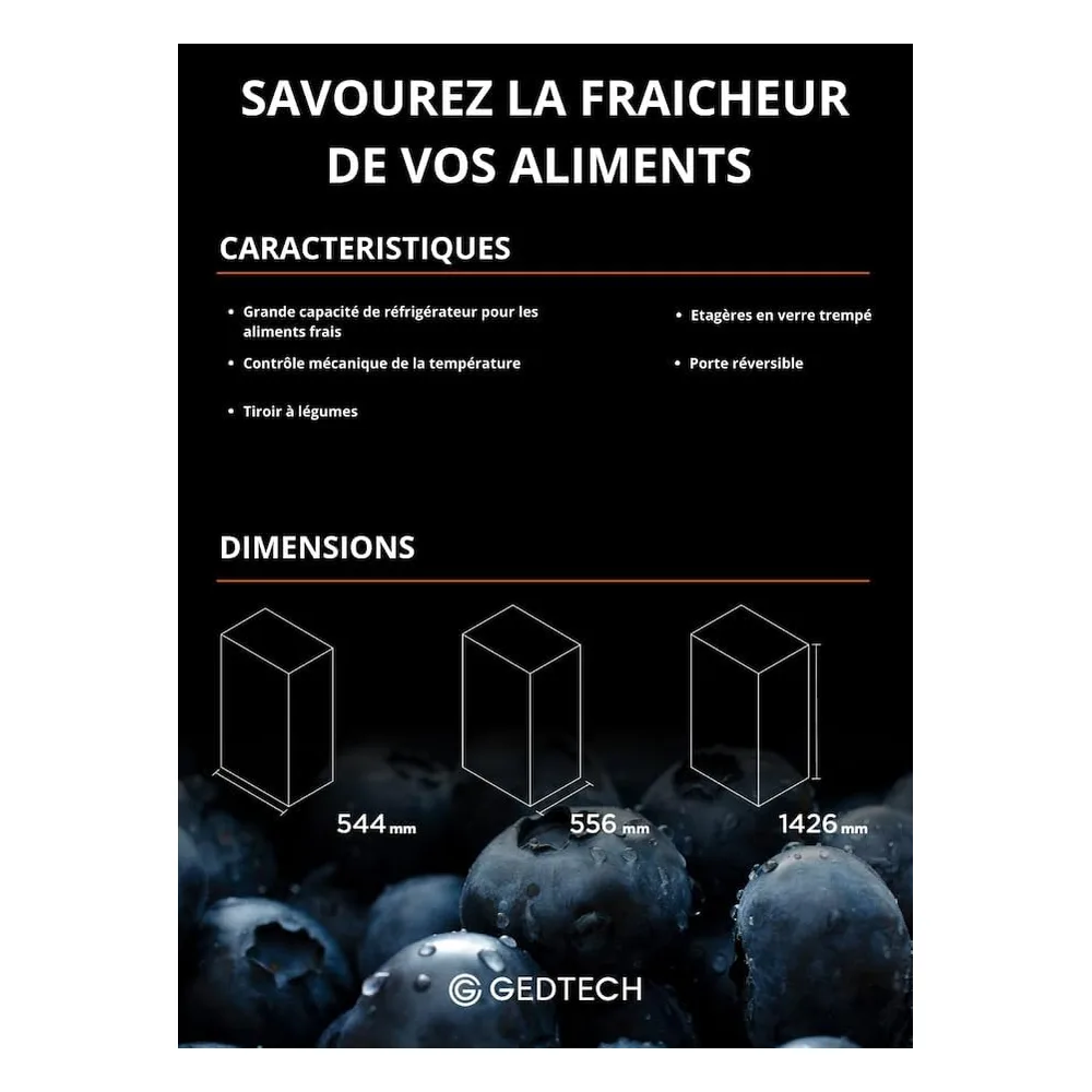 GEDTECH Réfrigérateur 230 L GSP230SL