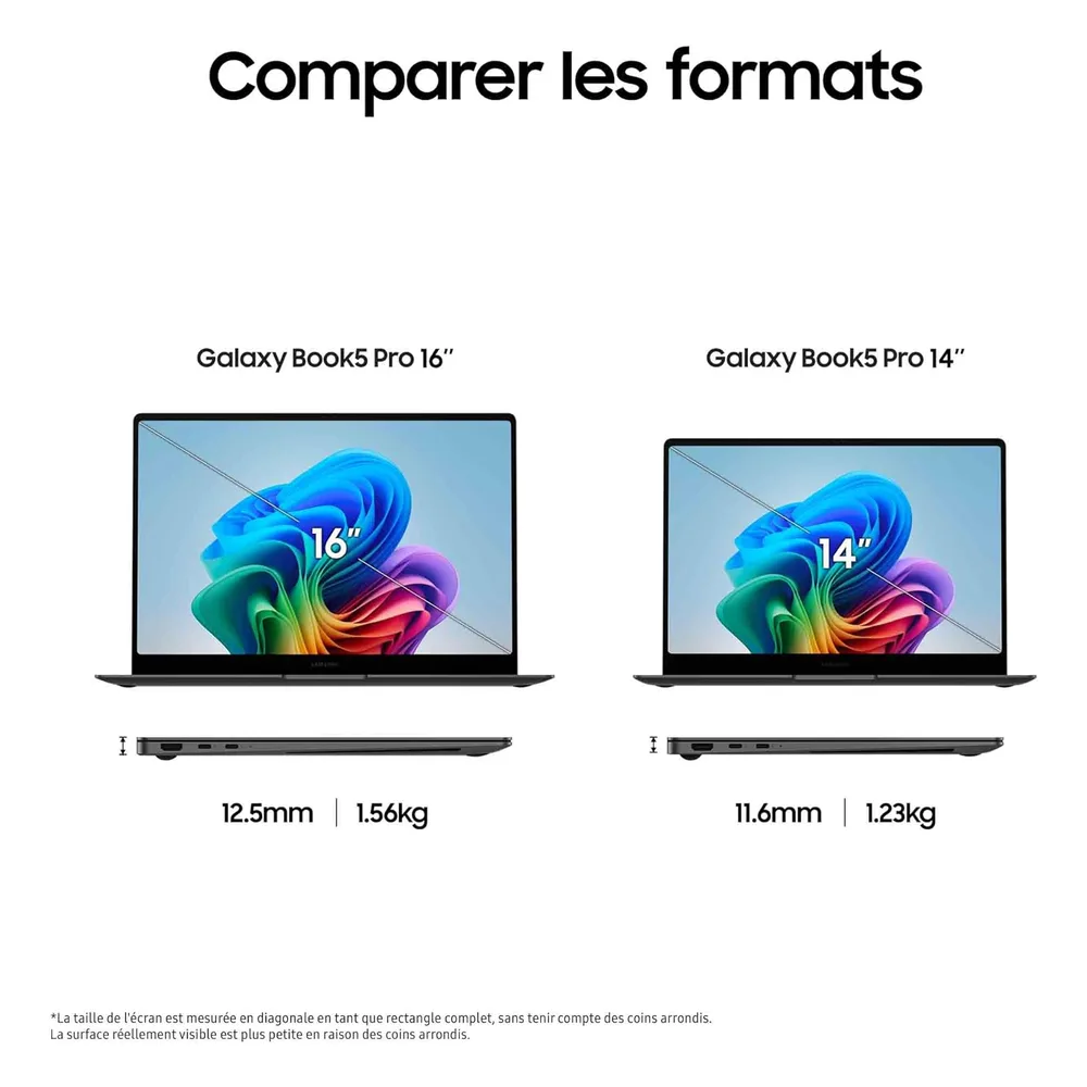 Samsung PC portable 16 Go