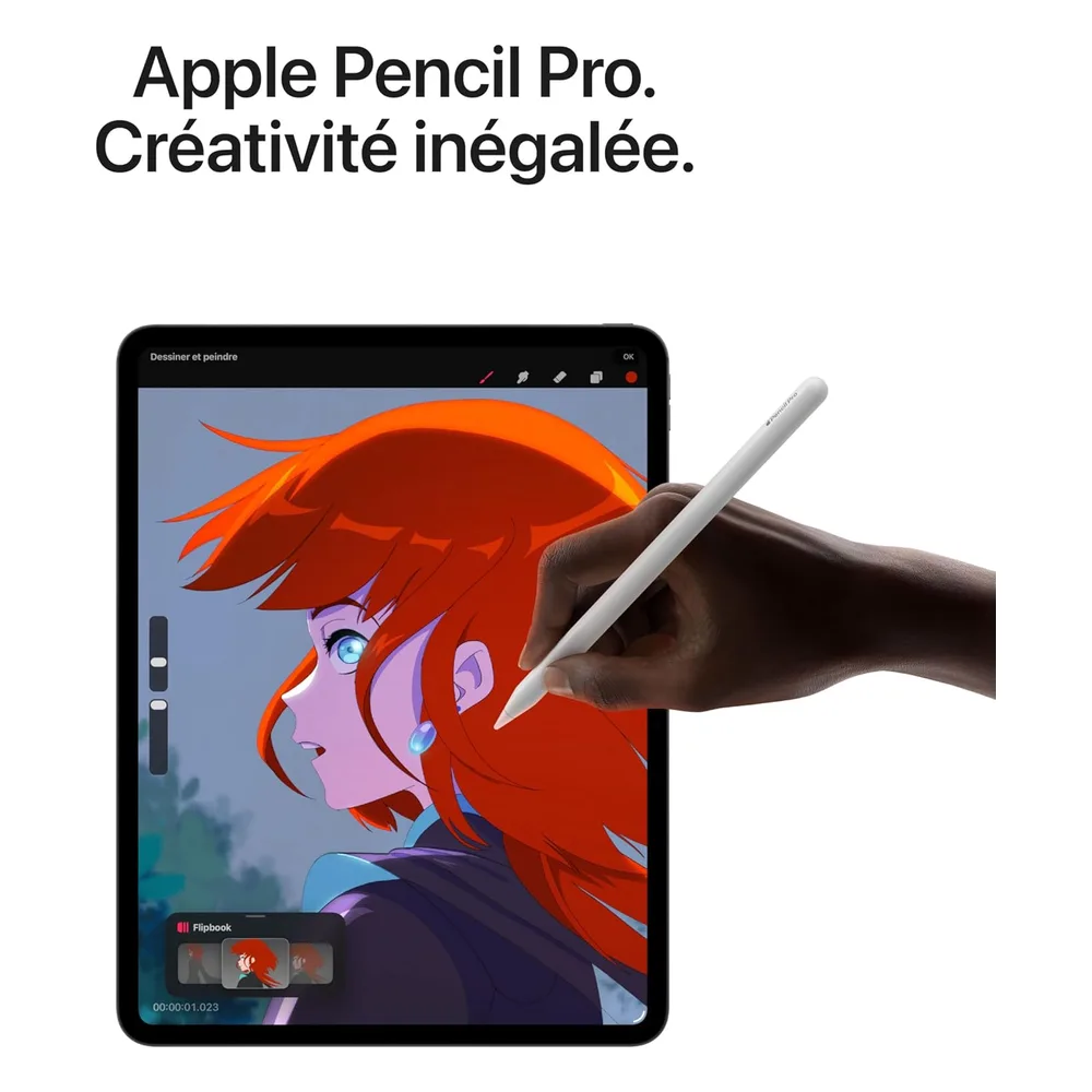 Apple iPad Pro 11 256 Go