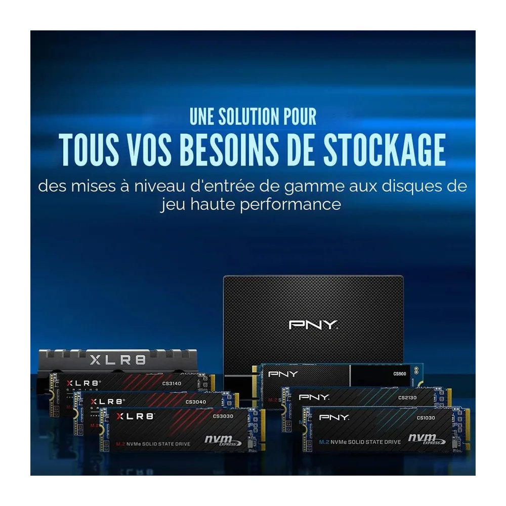 PNY CS1030 250Go M.2 NVMe PCIe Gen3 SSD Interne
